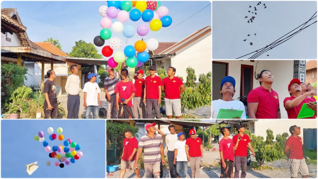 Kontes Merpati Kupu-kupu