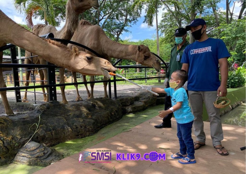 Disbudporapar Surabaya