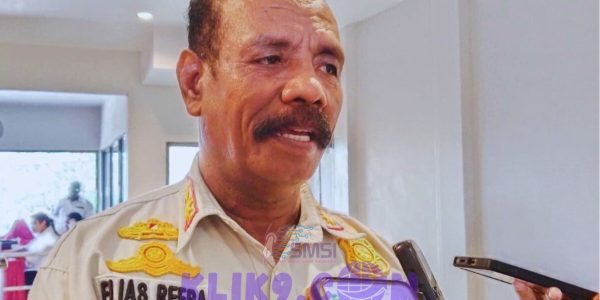 Satpol PP Papua Selatan