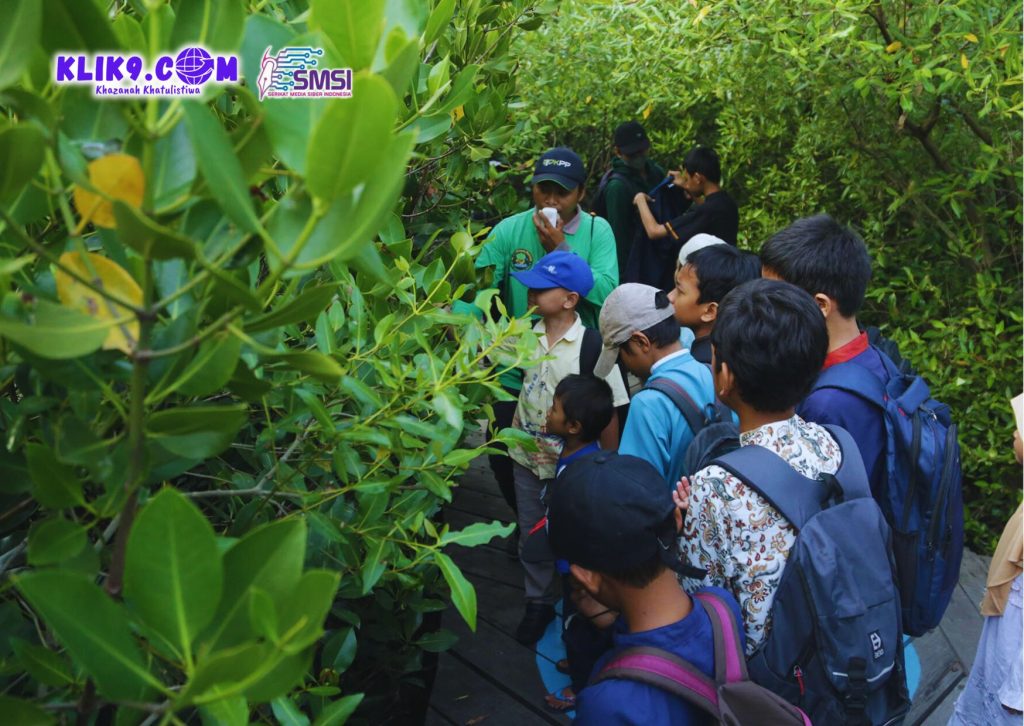 Kebun Raya Mangrove Surabaya