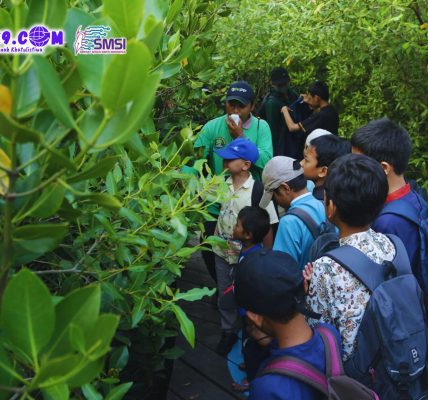 Kebun Raya Mangrove Surabaya