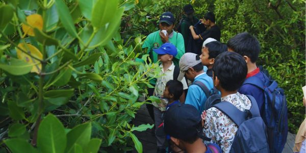 Kebun Raya Mangrove Surabaya